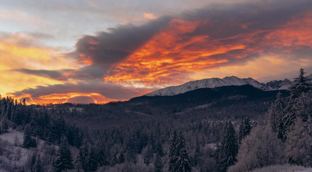 Apartment Maciejowy Dwor Zakopane